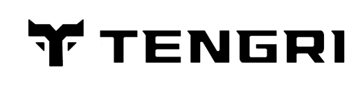 Tengri logo Tengri Tyres логотип